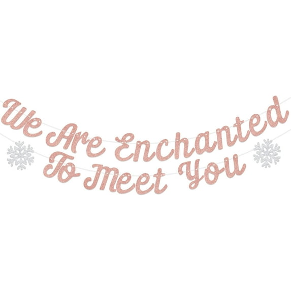 We are Enchanted to Meet You Banner, Little Snowflake Baby Shower Decorations, Baby Shower Decor Sign, What Will Our Little Snowflake Be Party Supplies Rose Gold & Silver