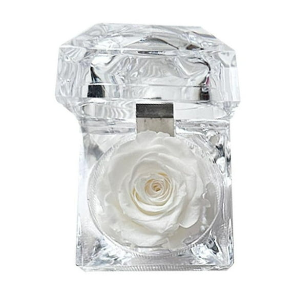 Enchanted Rose in Acrylic Crystal Box, Preserved Rose Real Rose in Mini Clear Box, Gifts for Birthday Anniversary, Mom Valentines, Grandma, Mothers Day, Women Christmas, Girlfriend DNCC