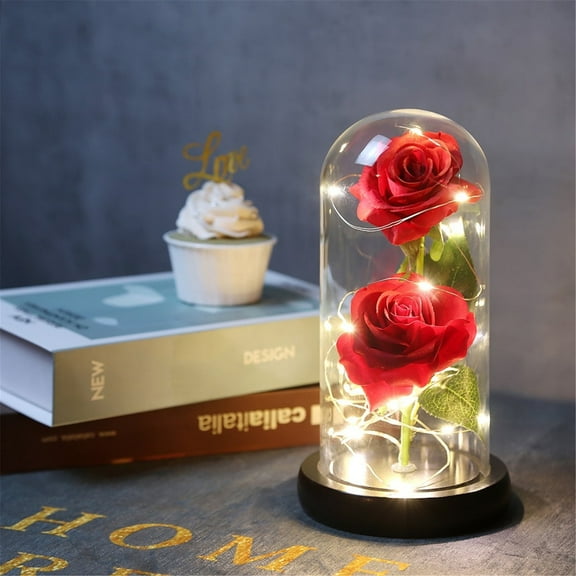Enchanted Rose Gift for Women,Christmas Valentines Day Rose Flower Gift with LED Light in Glass Dome