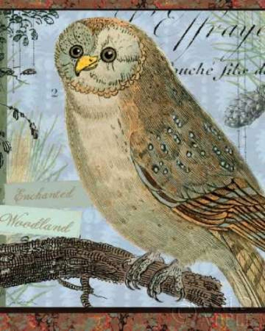 Enchanted Woodland Canvas Art - Sue Schlabach (24 x 30)