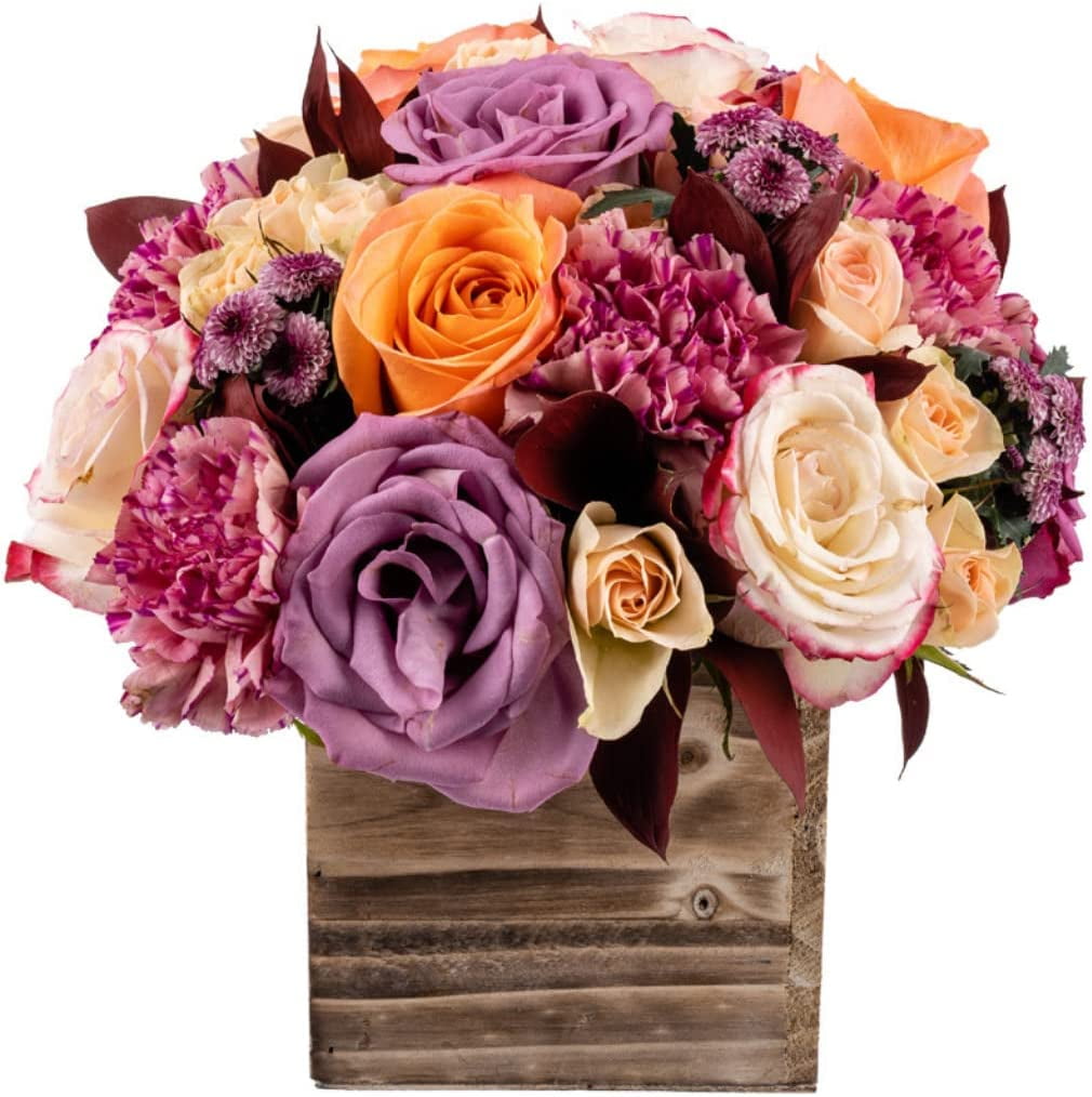 Enchanted by Arabella Bouquets with Free Elegant Hand-Blown Glass Vase (Fresh-Cut Holiday Flowers)