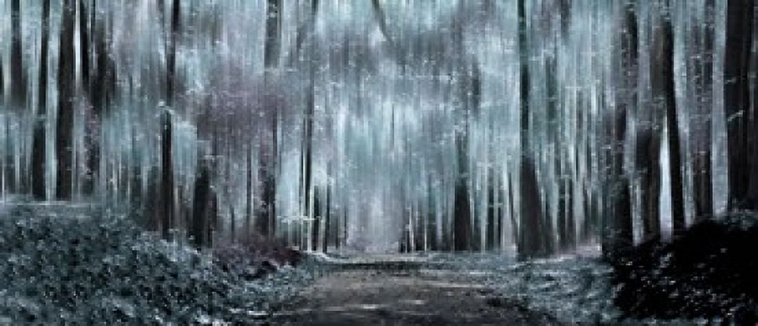 Enchanted forest Canvas Art - Panoramic Images (15 x 6)