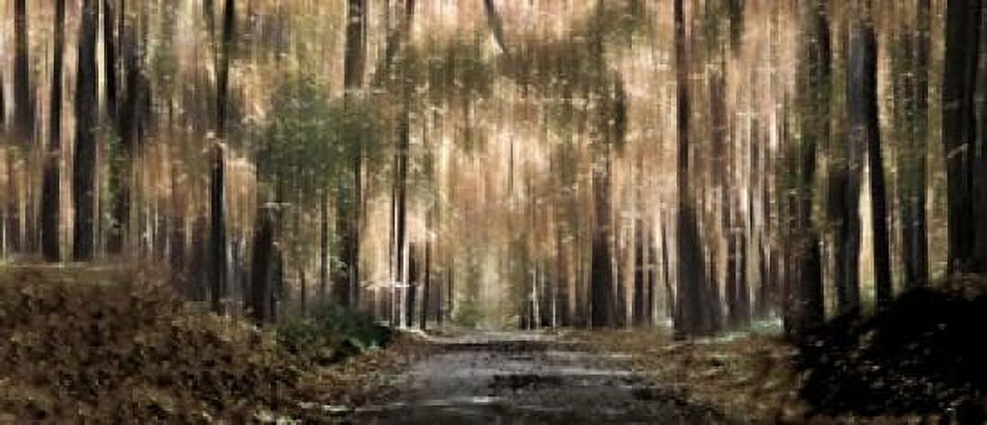 Enchanted forest Canvas Art - Panoramic Images (30 x 13)