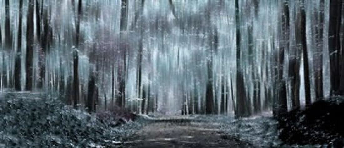 Enchanted forest Canvas Art - Panoramic Images (30 x 13)