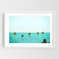 Encinitas Palms - Encinitas California Photography White Framed Wall Art Print 12 x 18 inches