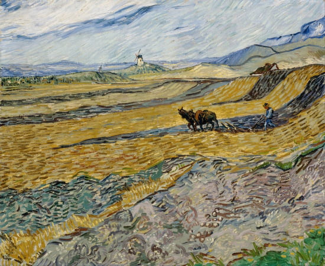 Enclosed Field With Ploughman Canvas Art - Vincent Van Gogh (36 x 54)