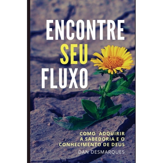 Encontre Seu fluxo: Como Adquirir a Sabedoria e o Conhecimento de Deus, (Paperback)