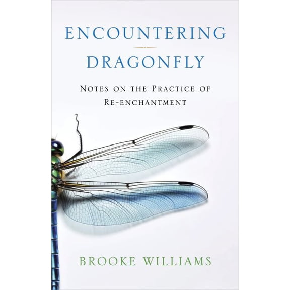Pre-Owned Encountering Dragonfly: Notes on the Practice of Re-Enchantment (Paperback) 194337029X 9781943370290