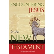 Encountering Jesus in the New Testament Paperback