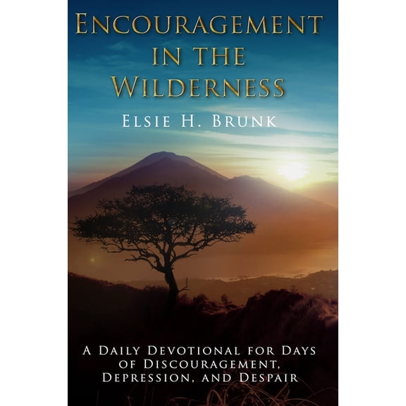 Encouragement in the Wilderness: A Daily Devotional for Days of Discouragement, Depression, and Despair, (Paperback)