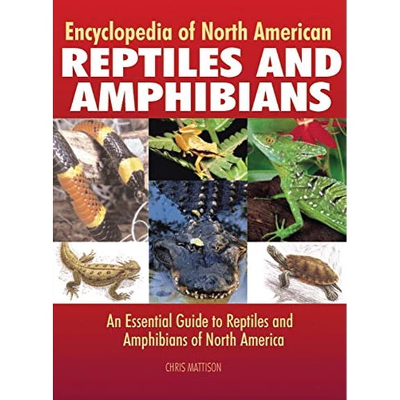 Pre-Owned Encyclopedia of North American Reptiles and Amphibians : An Essential Guide to Reptiles and Amphibians of North America (Hardcover) 9781592234271