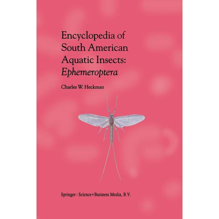 South American Insects
