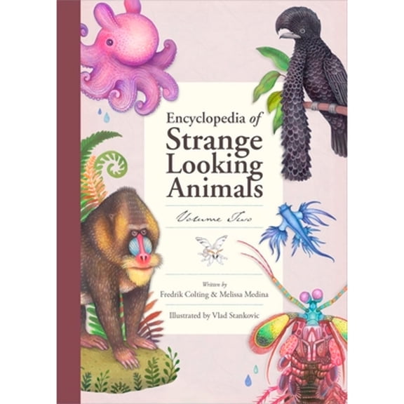 Pre-Owned Encyclopedia of Strange Looking Animals (Hardcover) 1733792147 9781733792141
