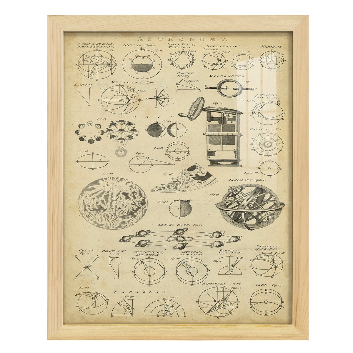 Framed Pine Encyclopedia Print 15.5