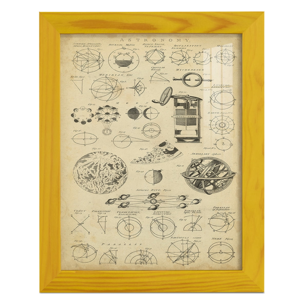 Encyclopediae II -Framed Print w/glass-Sunflower Yellow