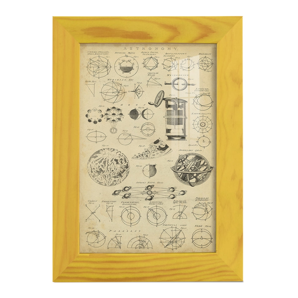 Encyclopediae II -Framed Print w/glass-Sunflower Yellow