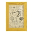 thumbnail image 1 of Encyclopediae II -Framed Print w/glass-Sunflower Yellow, 1 of 8
