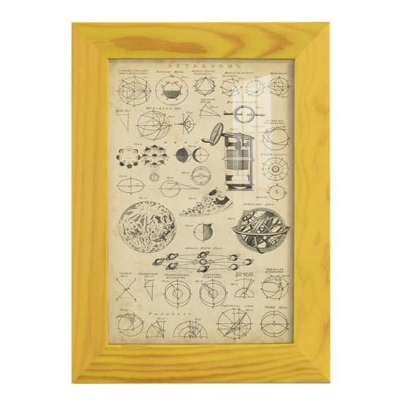 Encyclopediae II -Framed Print w/glass-Sunflower Yellow