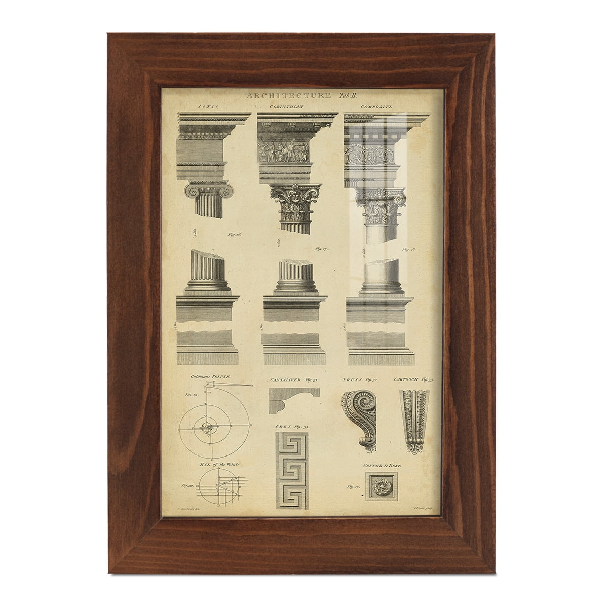 Encyclopediae III -Framed Print w/glass-Chestnut