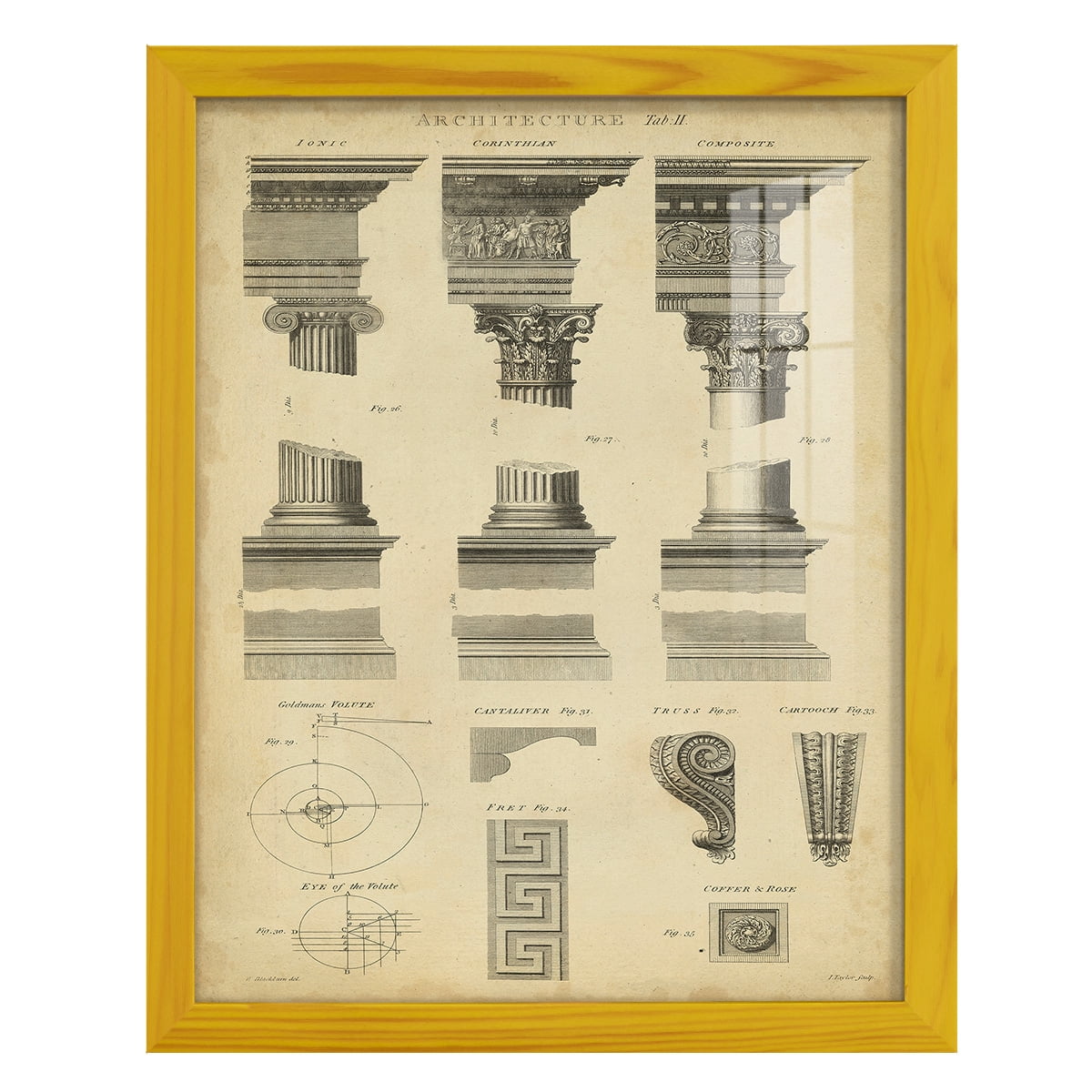 Encyclopediae III -Framed Print w/glass-Sunflower Yellow