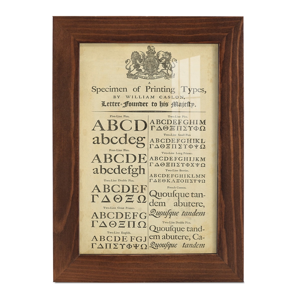 Encyclopediae VI -Framed Print w/glass-Chestnut