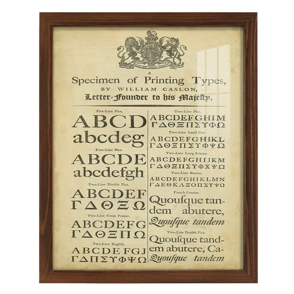 Encyclopediae VI -Framed Print w/glass-Chestnut
