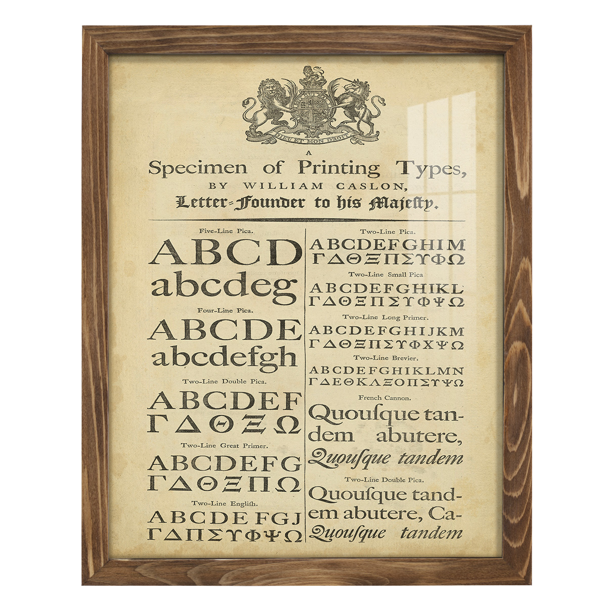 Encyclopediae VI -Framed Print w/glass-Walnut