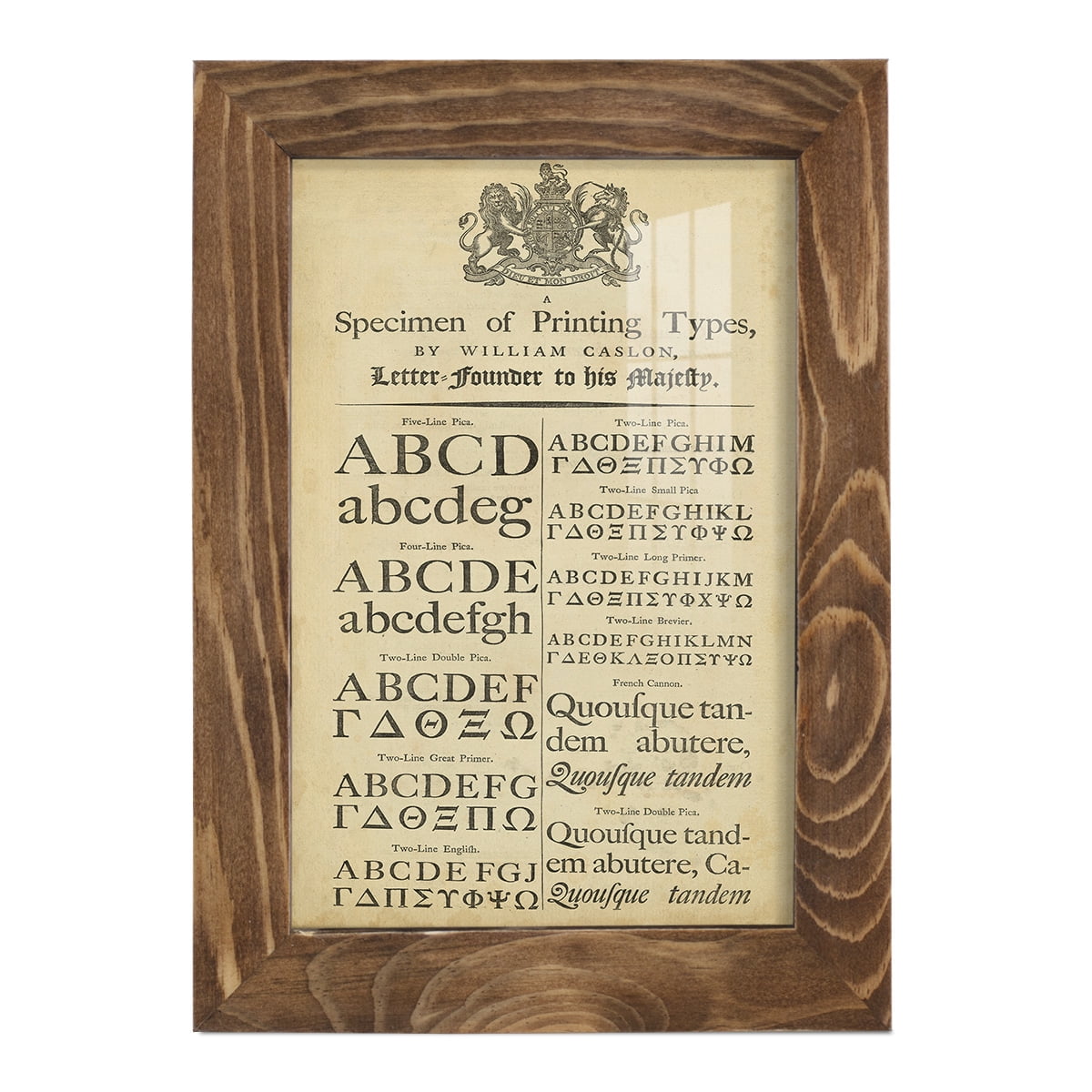 Encyclopediae VI -Framed Print w/glass-Walnut