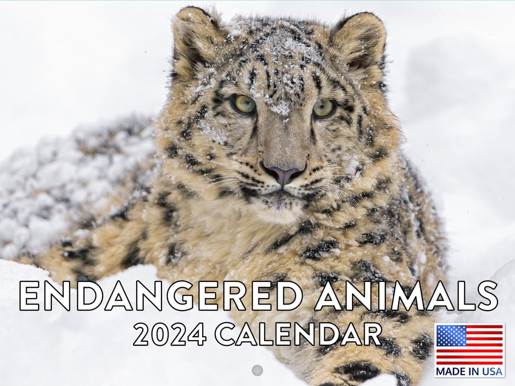Endangered Animal 2024 Wall Calendar