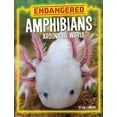 thumbnail image 1 of Endangered Animals Around the World Endangered Amphibians Around the World, (Paperback), 1 of 1