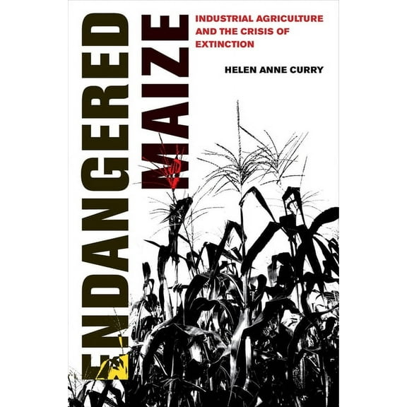 Endangered Maize: Industrial Agriculture and the Crisis of Extinction, (Paperback)
