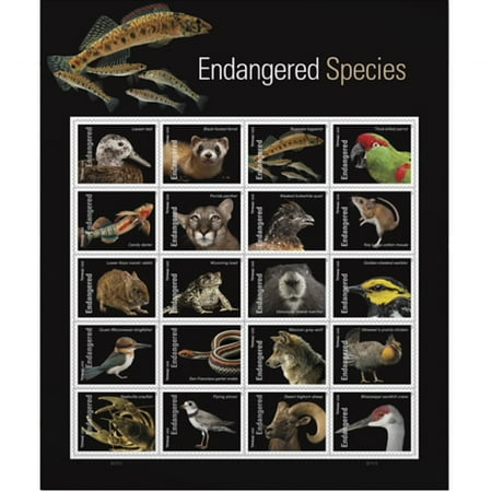 Endangered Species USPS Forever Postage Stamp 1 Sheet of 20 US Postal First Class Animal Bird Fish Duck Wildlife Habitat Announcement Celebrate Anniversary Wedding (20 Stamps)