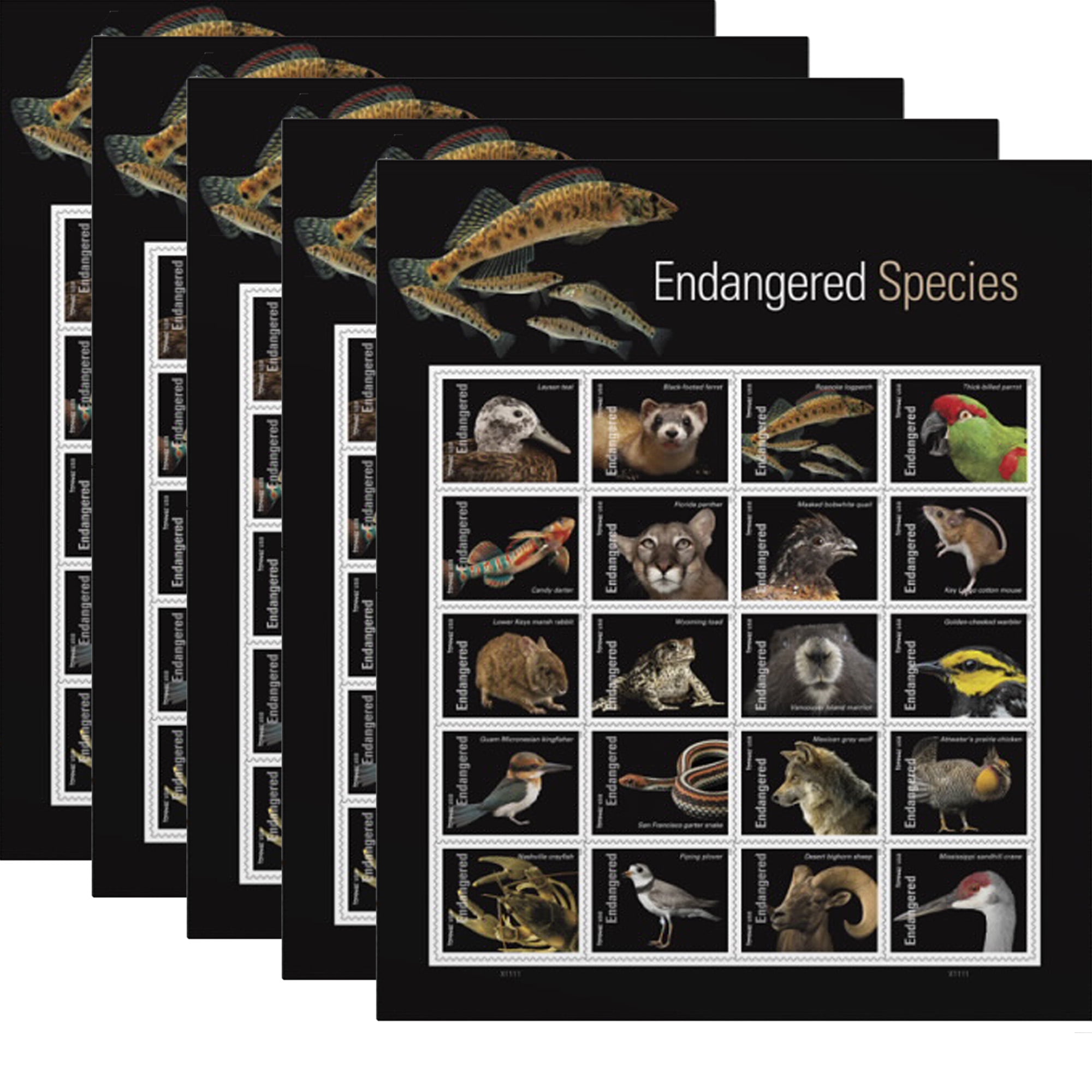Endangered Species USPS Forever Postage Stamp 5 Sheet of 20 US Postal First Class Animal Bird