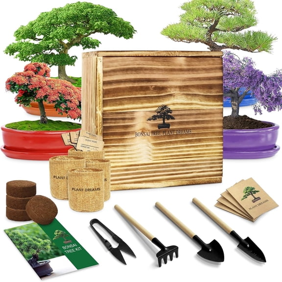 Endbug Bonsai Tree Starter Kit Complete DIY Growing Set with Wooden Gift Box Beginner Gardening Craft Kit Unique Christmas Birthday Gift for Men Women Teens