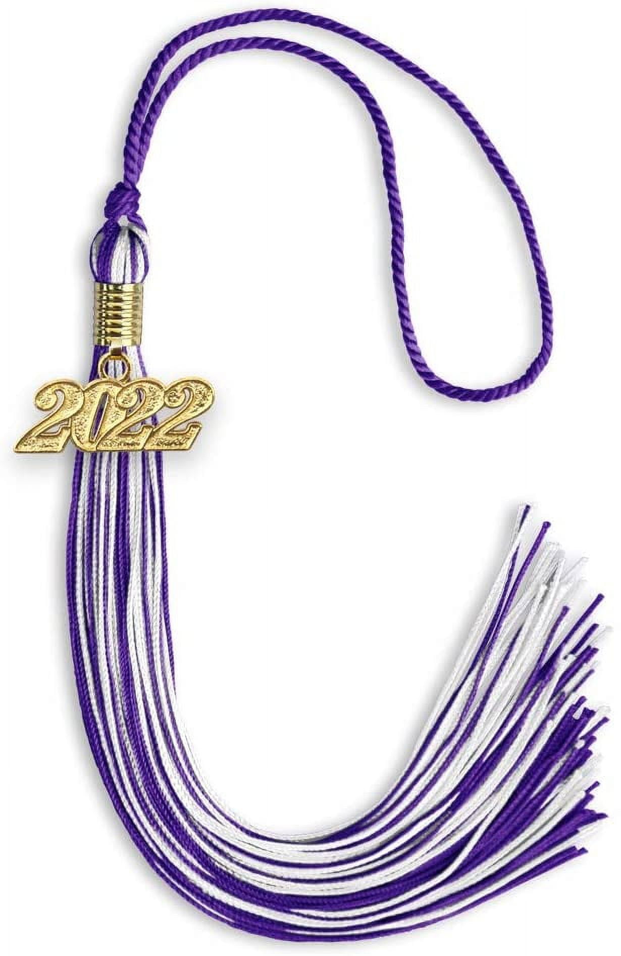  2PCS Graduation Tassel 2024, 2024 Tassel Charm, Graduation  Cap Tassel For Graduation Cap 2024 Graduation Decoration Tassel