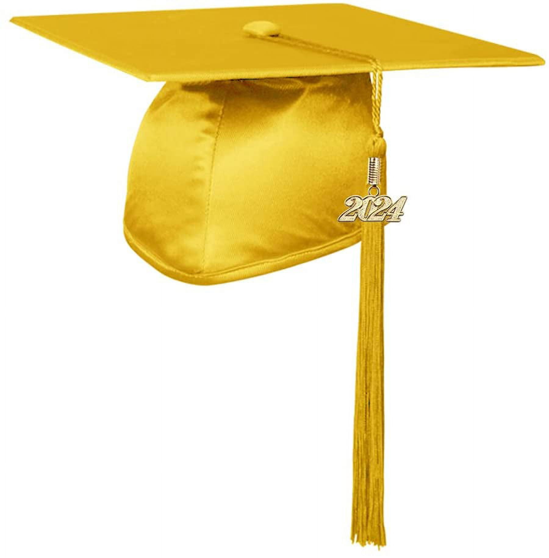 2024 Tassel Graduation 2024 Graduation Tassel 2024 Blue and Gold,Graduation  Gifts, Graduation Cap Decorations,2 pcs Gold Tassel for Graduation Cap