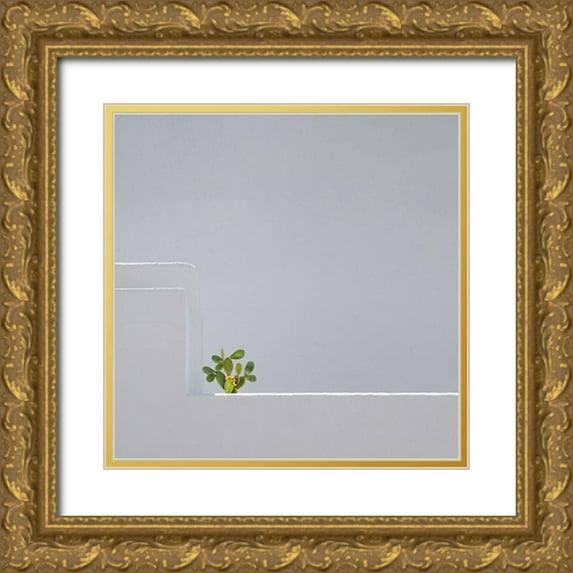 Endermann, Rolf 12x12 Gold Ornate Wood Framed with Double Matting Museum Art Print Titled - Stand Alone