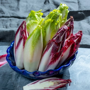Endive Seeds - Gourmet Mix - 2 G Packet ~800 Seeds - Cichorium endivia - Farm & Garden Vegetable Gardening & Microgreens Seeds - Non-GMO, Heirloom, Open Pollinated, Annual