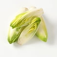 thumbnail image 1 of Endive Seeds - Sugar Loaf - 1 Lb ~108,800 Seeds - Cichorium endivia - Farm & Garden Vegetable Gardening & Microgreens Seeds - Non-GMO, Heirloom, Open Pollinated, Annual, 1 of 5