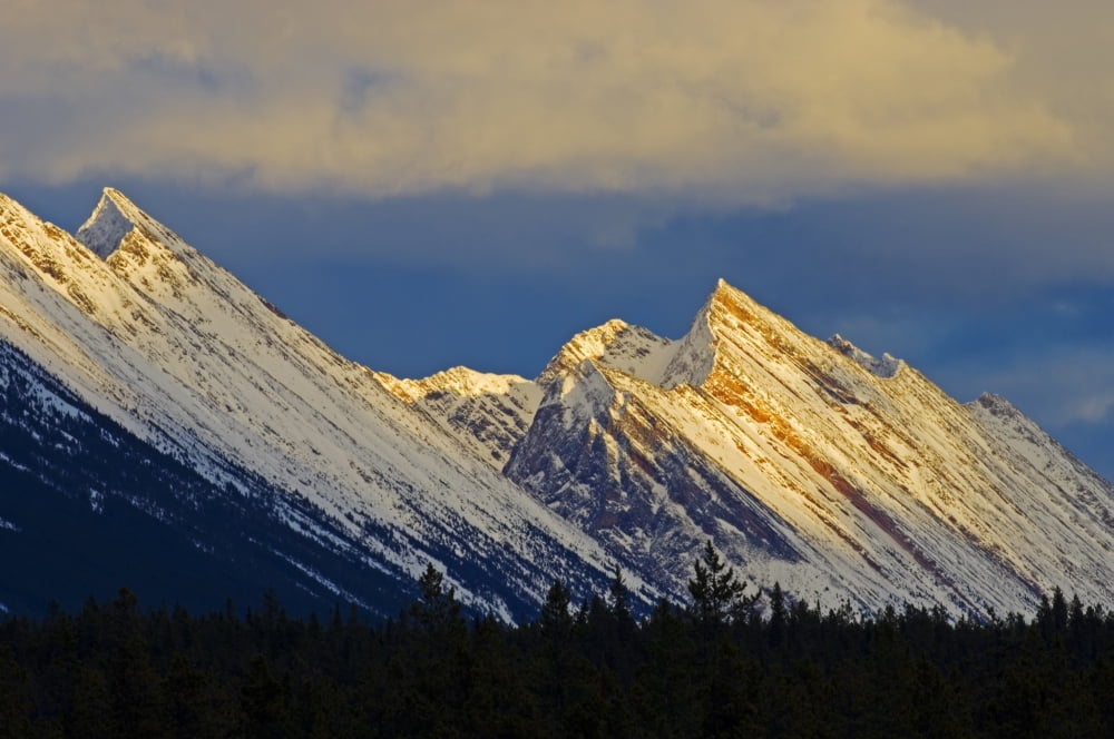 Endless Chain Ridge Icefields Parkway Jasper National Park Alberta Canvas Art - Mike Grandmaison Design Pics (18 x 12)