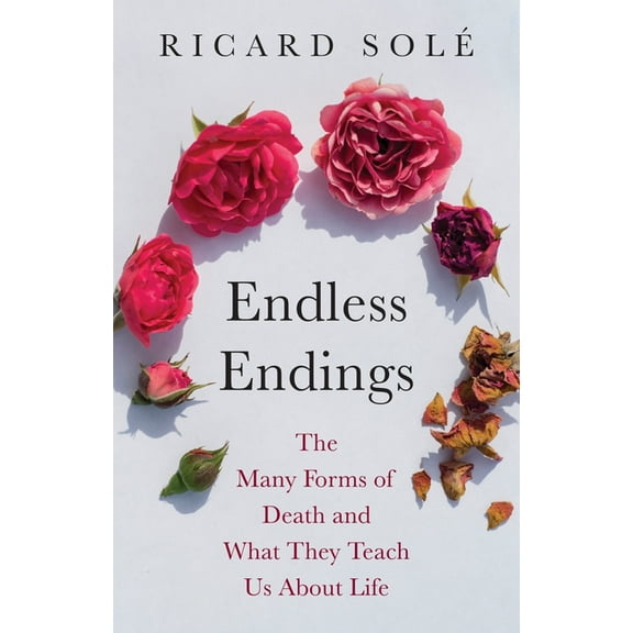 Endless Endings: The Many Forms of Death and What They Teach Us about Life, (Hardcover)