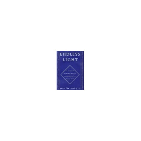 Pre-Owned Endless Light (Hardcover) 0684818736 9780684818733