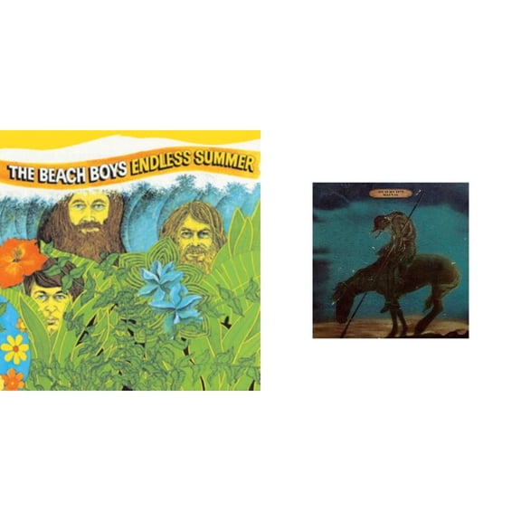 Endless Summer & Surf's Up [LP Vinyl Bundle]