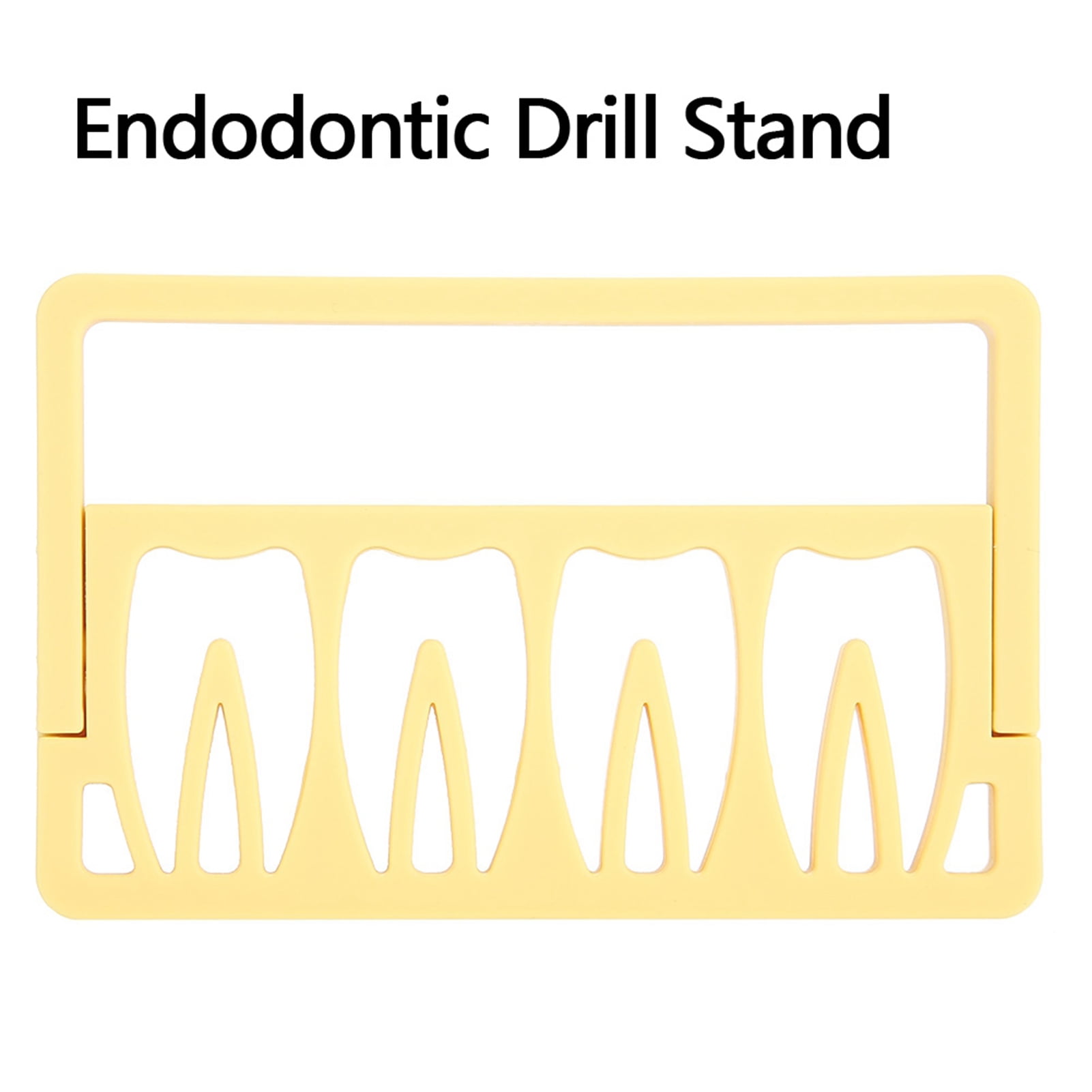 Endodontic Drill Stand§endodontic Files Stand§endodontic Drill Holder