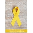 thumbnail image 1 of Endometriosis Symptom Diary: Endometriosis Diary : For Your Daily Documentation of Pain, Symptoms, Nutrition / Handy Format / Symptom Diary (Series #2) (Paperback), 1 of 1