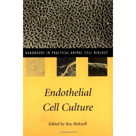 Pre-Owned Endothelial Cell Culture 9780521559904 /