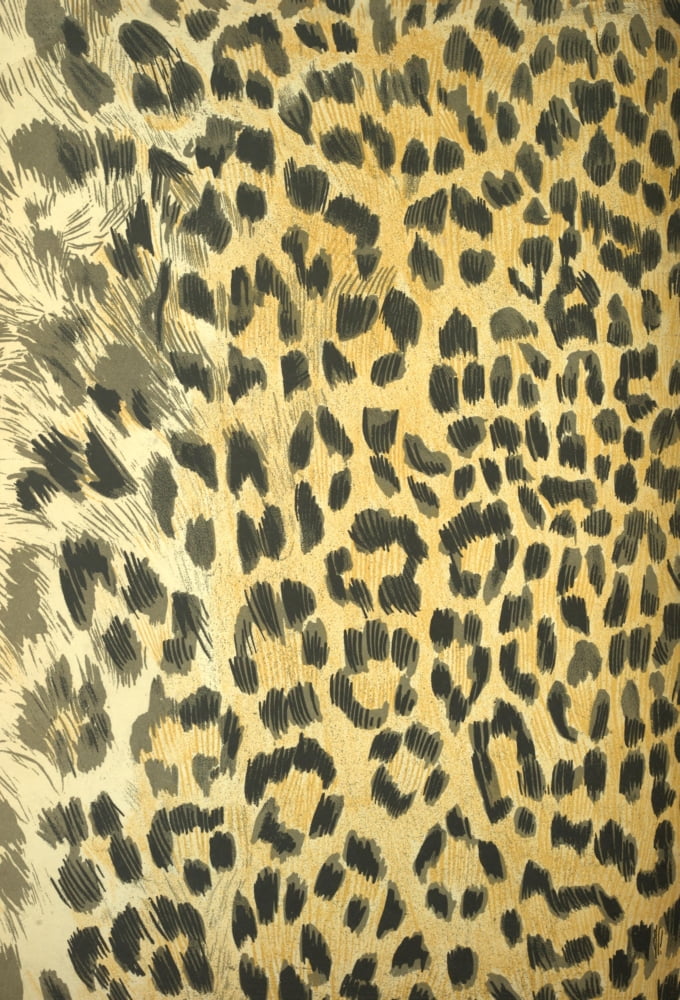 Endpaper British Central Africa 1897 Leopard print 1 Canvas Art - (18 x 24)