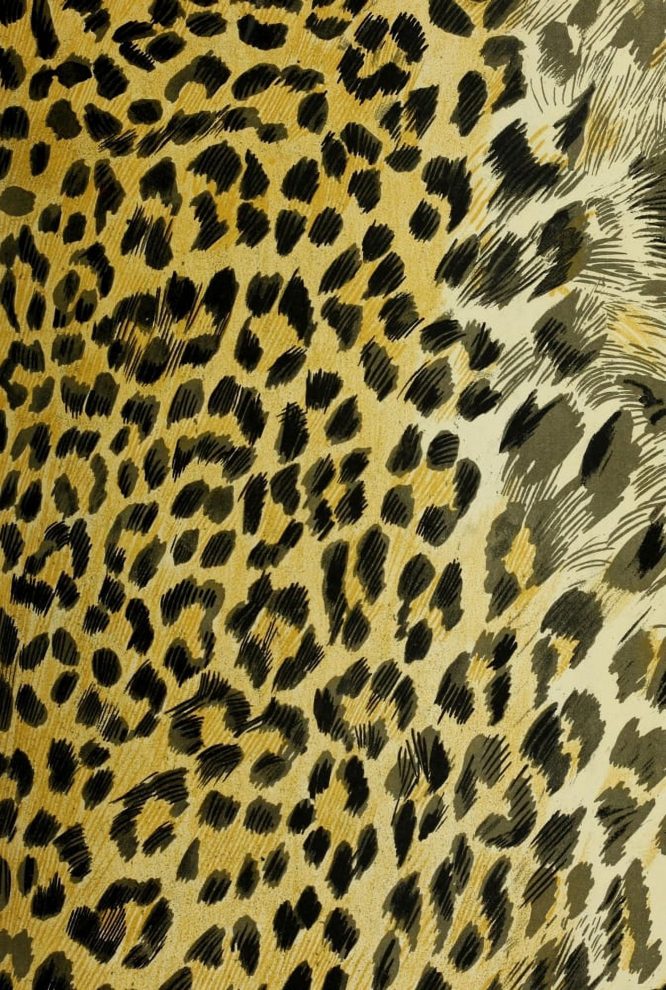 Endpaper British Central Africa 1897 Leopard print 2 Canvas Art - (18 x 24)