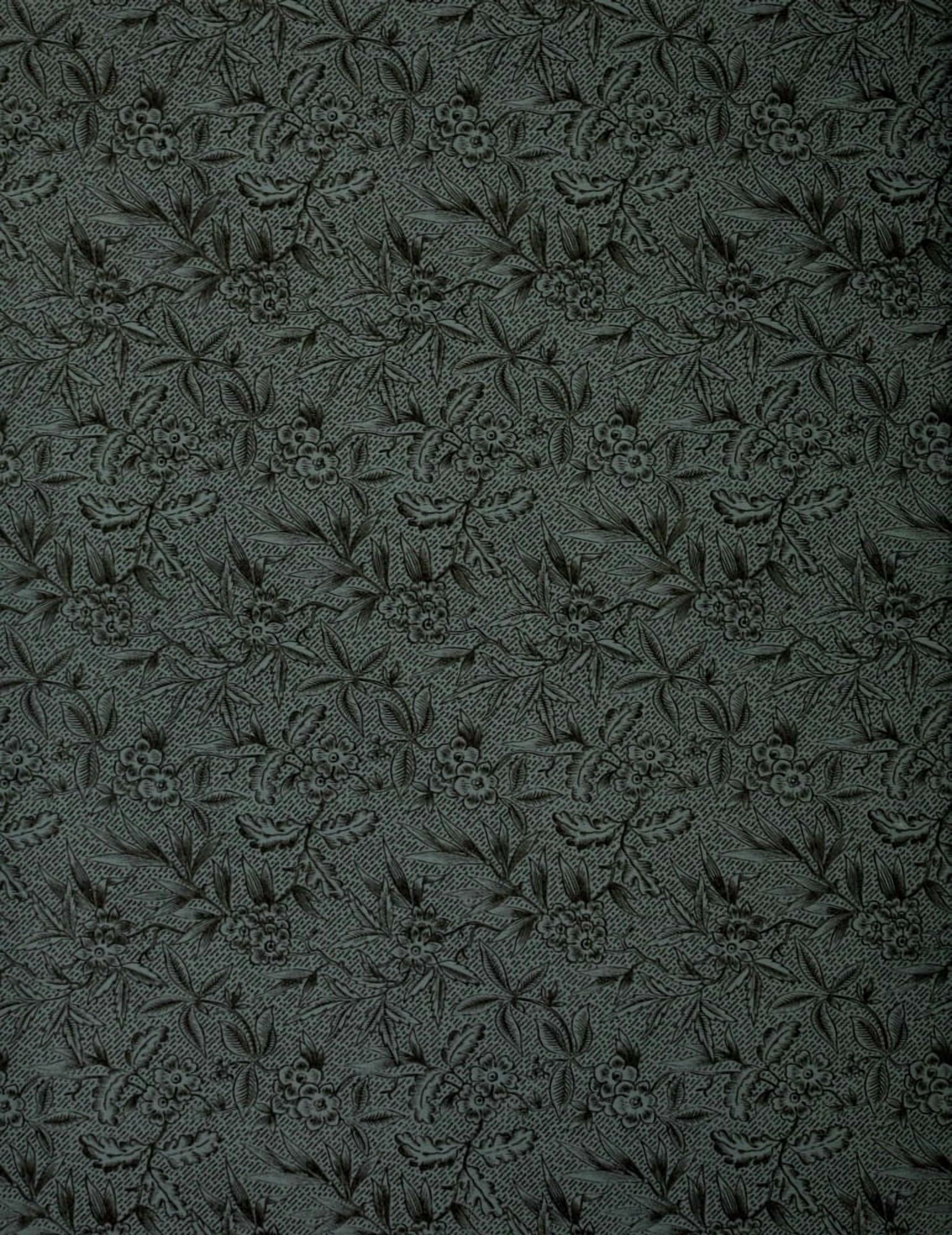 Endpaper Fulness of Joy 1886 Canvas Art -  (24 x 36)