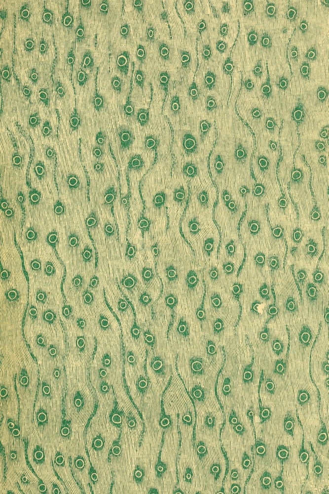Endpaper Hunting Big Game in the Wilds of Africa 1909 Green design Canvas Art - (18 x 24)